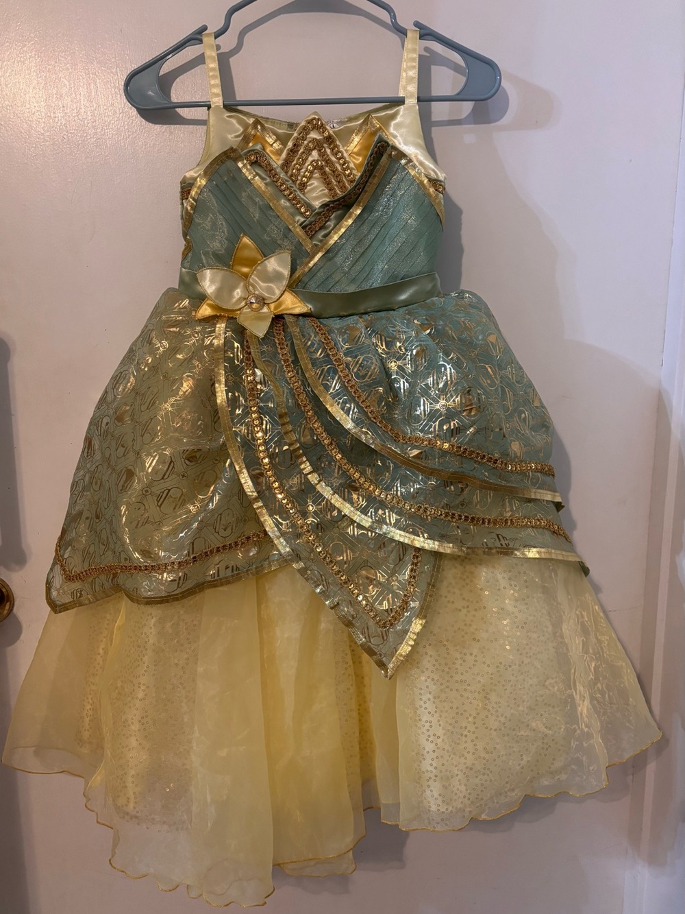 Disney Princess Tiana Deluxe Costume Dress Size 5/6